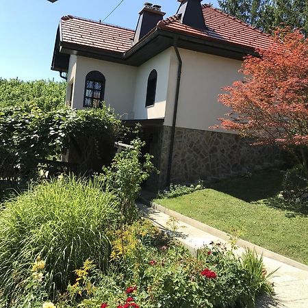 Wine & Nature & Tour Zgornji Leskovec Exterior foto