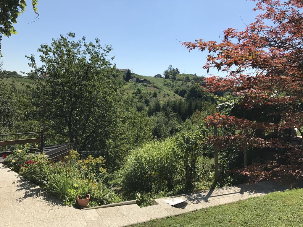 Wine & Nature & Tour Zgornji Leskovec Exterior foto