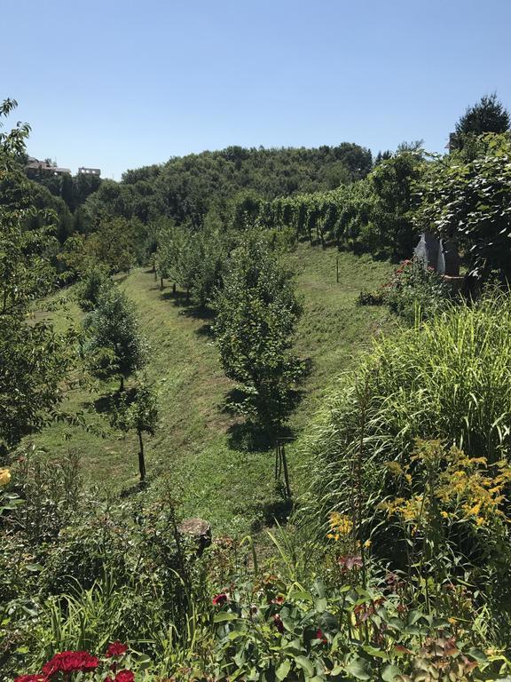Wine & Nature & Tour Zgornji Leskovec Exterior foto