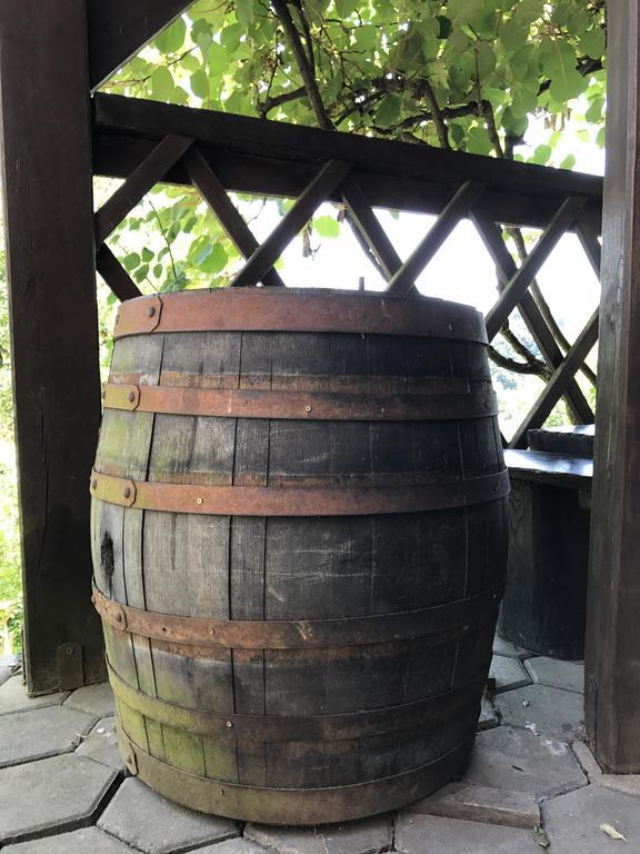 Wine & Nature & Tour Zgornji Leskovec Exterior foto