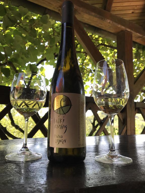 Wine & Nature & Tour Zgornji Leskovec Exterior foto