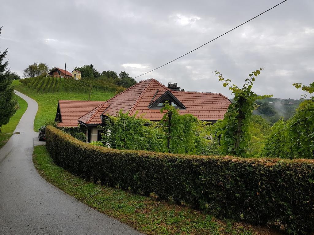 Wine & Nature & Tour Zgornji Leskovec Exterior foto
